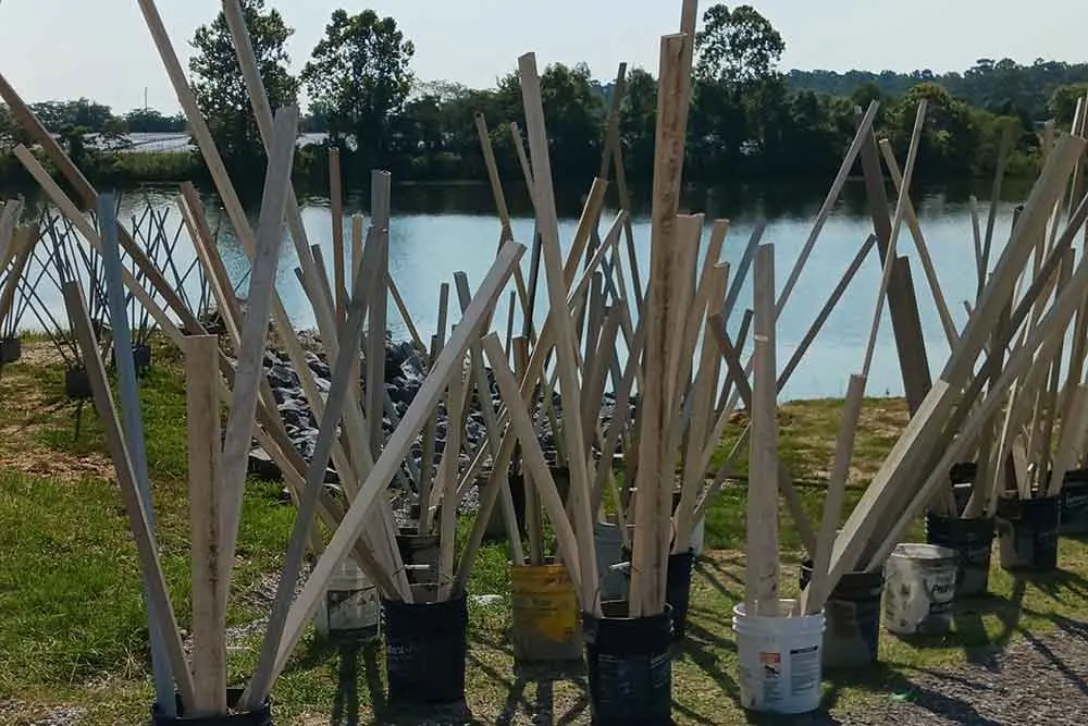 Wooden Fish Habitat | Crappie Brush Pile | Anglers Unlimited